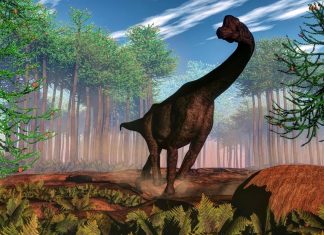 صغار الديناصورات.. الوجبة المفضلة لمفترسات العصر الجوراسي صغار الديناصورات.. الوجبة المفضلة لمفترسات العصر الجوراسي