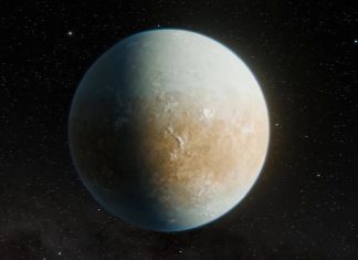 تفاعل المغردين مع فكرة العيش على كوكب بعيد تفاعل المغردين مع فكرة العيش على كوكب بعيد