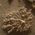 “ماء الكوكب الأحمر: أسئلة كبرى حول الحياة” "ماء الكوكب الأحمر: أسئلة كبرى حول الحياة"