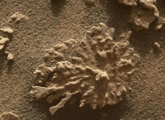 “ماء الكوكب الأحمر: أسئلة كبرى حول الحياة” "ماء الكوكب الأحمر: أسئلة كبرى حول الحياة"