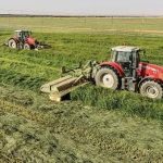 تمليك 2400 أسرة بالجزيرة لوسائل إنتاج زراعي وحيواني تمليك 2400 أسرة بالجزيرة لوسائل إنتاج زراعي وحيواني