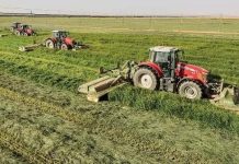 تمليك 2400 أسرة بالجزيرة لوسائل إنتاج زراعي وحيواني تمليك 2400 أسرة بالجزيرة لوسائل إنتاج زراعي وحيواني