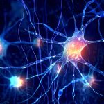 خلف ستار العقل: كيف ينسج الدماغ عوالم غير مرئية؟ خلف ستار العقل: كيف ينسج الدماغ عوالم غير مرئية؟