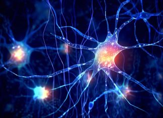 خلف ستار العقل: كيف ينسج الدماغ عوالم غير مرئية؟ خلف ستار العقل: كيف ينسج الدماغ عوالم غير مرئية؟