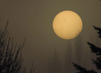 كيف تدور الشمس في الفضاء؟ كيف تدور الشمس في الفضاء؟