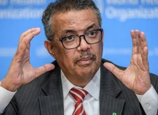 منظمة الصحة العالمية تدعم حكومة الأمل لاستئصال الملاريا منظمة الصحة العالمية تدعم حكومة الأمل لاستئصال الملاريا