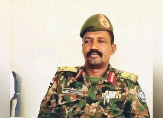 كيكل: درع السودان وجد ليحمي رجاله وعرضه كيكل: درع السودان وجد ليحمي رجاله وعرضه