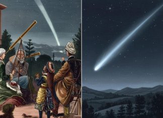 مذنب جديد يشعل حماس الفلكيين وينتظرون نجاته من لهيب الشمس مذنب جديد يشعل حماس الفلكيين وينتظرون نجاته من لهيب الشمس