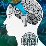 علماء من معهد ماساتشوستس يبتكرون أداة يمكنها فهم “الوعي” علماء من معهد ماساتشوستس يبتكرون أداة يمكنها فهم "الوعي"