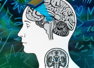 علماء من معهد ماساتشوستس يبتكرون أداة يمكنها فهم “الوعي” علماء من معهد ماساتشوستس يبتكرون أداة يمكنها فهم "الوعي"