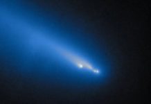 مذنب أطلس يتفكك قرب الشمس في حدث درامي مذنب أطلس يتفكك قرب الشمس في حدث درامي