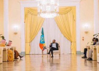 زيارة وزير الخارجية السعودي لأديس أبابا ولقاء أردوغان زيارة وزير الخارجية السعودي لأديس أبابا ولقاء أردوغان