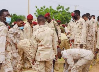 تفشي الأمراض المنقولة جنسيًا بين جنود الدعم السريع تفشي الأمراض المنقولة جنسيًا بين جنود الدعم السريع