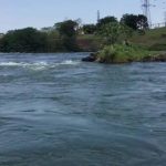 إنقاذ فتاة عشرينية من الموت حاولت الإنتحار بالقفز في النيل إنقاذ فتاة عشرينية من الموت حاولت الإنتحار بالقفز في النيل