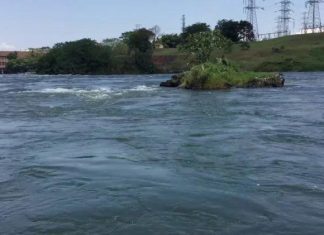 إنقاذ فتاة عشرينية من الموت حاولت الإنتحار بالقفز في النيل إنقاذ فتاة عشرينية من الموت حاولت الإنتحار بالقفز في النيل