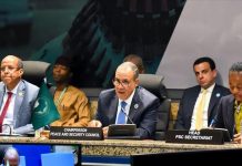 استقرار السودان ضرورة إقليمية لتفادي الفوضى والسلاح استقرار السودان ضرورة إقليمية لتفادي الفوضى والسلاح