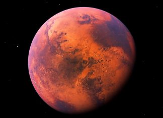 المريخ أصبح أكثر قابلية للحياة بفضل كائنات أرضية غريبة المريخ أصبح أكثر قابلية للحياة بفضل كائنات أرضية غريبة