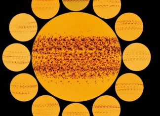 بقع شمسية كثيرة ترسم صورة ديناميكية للنجم الأصفر في عام 2025 بقع شمسية كثيرة ترسم صورة ديناميكية للنجم الأصفر في عام 2025