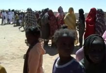 نازحو الفاشر يروون فصول الهروب إلى الولاية الشمالية نازحو الفاشر يروون فصول الهروب إلى الولاية الشمالية