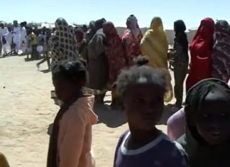 نازحو الفاشر يروون فصول الهروب إلى الولاية الشمالية نازحو الفاشر يروون فصول الهروب إلى الولاية الشمالية