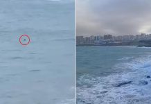 إنقاذ مراهق من الغرق أثناء التقاط صورة في الجزائر إنقاذ مراهق من الغرق أثناء التقاط صورة في الجزائر