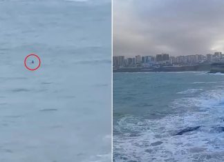 إنقاذ مراهق من الغرق أثناء التقاط صورة في الجزائر إنقاذ مراهق من الغرق أثناء التقاط صورة في الجزائر