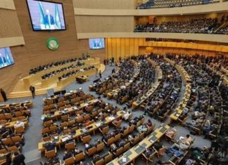 القمة الإفريقية: نستنكر التدخلات الخارجية في السودان القمة الإفريقية: نستنكر التدخلات الخارجية في السودان