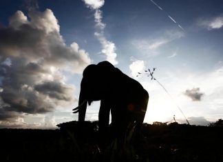 تايلند وإندونيسيا تتخذان خطوات لتهدئة حرب الفيلة تايلند وإندونيسيا تتخذان خطوات لتهدئة حرب الفيلة