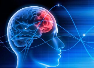 العقل قد يظل واعيا لعدة ساعات بعد الموت العقل قد يظل واعيا لعدة ساعات بعد الموت