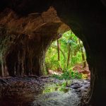 علماء يكتشفون نافذة نادرة على شكل الحياة قبل مليون سنة علماء يكتشفون نافذة نادرة على شكل الحياة قبل مليون سنة