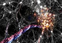 اكتشاف أكبر بنية مغزلية في الكون بواسطة علماء اكتشاف أكبر بنية مغزلية في الكون بواسطة علماء