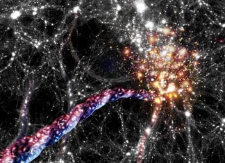 اكتشاف أكبر بنية مغزلية في الكون بواسطة علماء اكتشاف أكبر بنية مغزلية في الكون بواسطة علماء