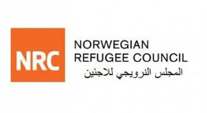 المجلس النرويجي للاجئين يكشف حقيقة الوضع الإنساني في كادوقلي المجلس النرويجي للاجئين يكشف حقيقة الوضع الإنساني في كادوقلي