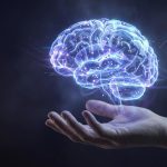 علماء يجيبون الجزيرة نت: أين يسكن الذكاء في دماغك؟ علماء يجيبون الجزيرة نت: أين يسكن الذكاء في دماغك؟