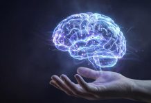 علماء يجيبون الجزيرة نت: أين يسكن الذكاء في دماغك؟ علماء يجيبون الجزيرة نت: أين يسكن الذكاء في دماغك؟