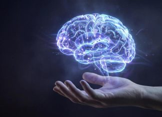 علماء يجيبون الجزيرة نت: أين يسكن الذكاء في دماغك؟ علماء يجيبون الجزيرة نت: أين يسكن الذكاء في دماغك؟