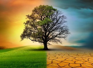 تغير المناخ يتسارع لكن الطبيعة تتباطأ تغير المناخ يتسارع لكن الطبيعة تتباطأ