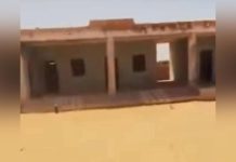 الدعم السريع تستبيح منزل موسى هلال وتقتل مدنيين الدعم السريع تستبيح منزل موسى هلال وتقتل مدنيين