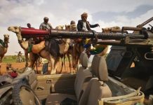 200 مركبة في هجوم الدعم السريع على معقل موسى هلال 200 مركبة في هجوم الدعم السريع على معقل موسى هلال