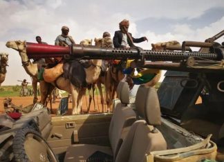 200 مركبة في هجوم الدعم السريع على معقل موسى هلال 200 مركبة في هجوم الدعم السريع على معقل موسى هلال