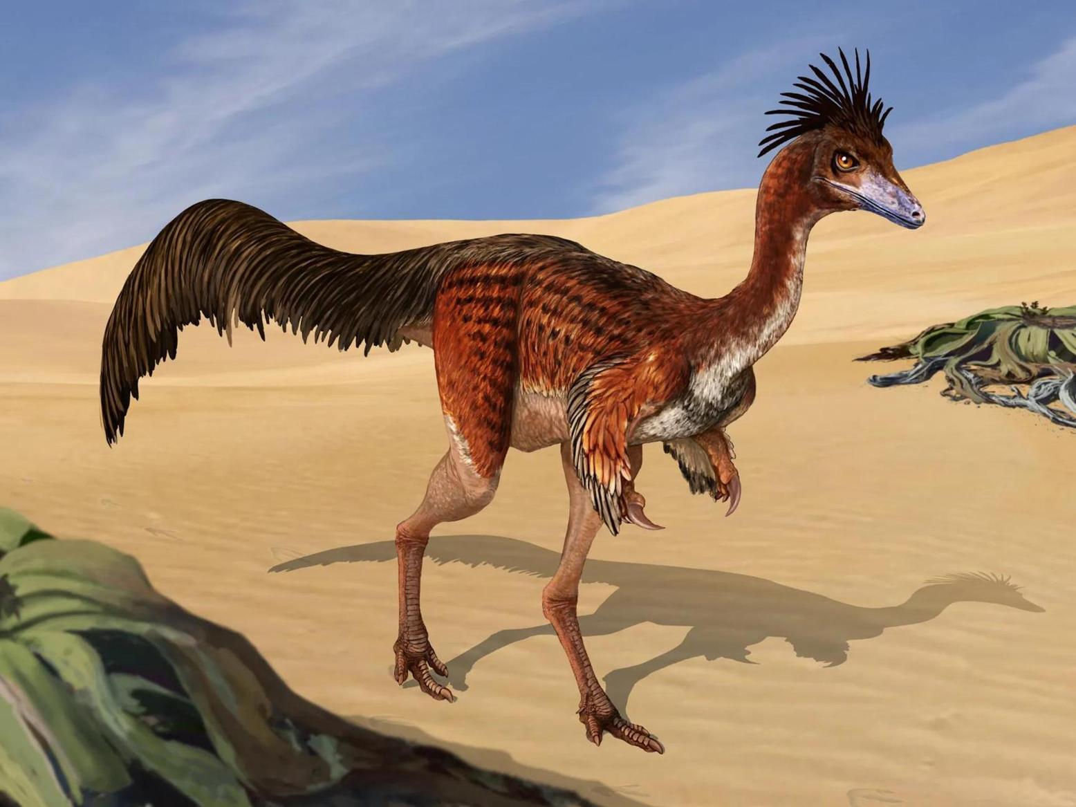 كيف يعرف العلماء شكل الديناصورات القديمة من العظام فقط؟ كيف يعرف العلماء شكل الديناصورات القديمة من العظام فقط؟