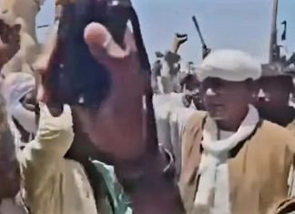 موسى هلال يظهر وسط قوات الجيش السوداني فيديو موسى هلال يظهر وسط قوات الجيش السوداني فيديو