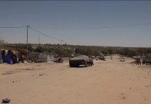 الجيش التشادي يحشد قواته في “الطينة” الحدودية مع السودان الجيش التشادي يحشد قواته في "الطينة" الحدودية مع السودان