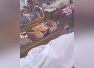 مجزرة الدعم السريع في شكيري تقتل 17 مدنيًا مجزرة الدعم السريع في شكيري تقتل 17 مدنيًا