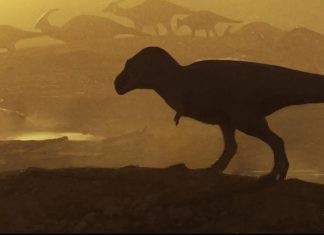 “جد تي ريكس”.. عظمة عمرها 74 مليون عام تكشف وحشا أسطوريا "جد تي ريكس".. عظمة عمرها 74 مليون عام تكشف وحشا أسطوريا