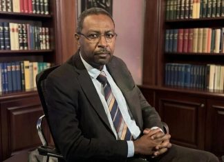 تعيين أمجد فريد مستشارًا للبرهان للشؤون السياسية تعيين أمجد فريد مستشارًا للبرهان للشؤون السياسية