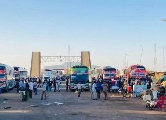 مدير أرقين يكشف تفاصيل نصب وإحتيال بعد توقف الحركة مدير أرقين يكشف تفاصيل نصب وإحتيال بعد توقف الحركة