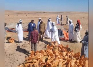 فحوصات تكشف كارثة بيئية بسبب الذهب بشمال السودان فحوصات تكشف كارثة بيئية بسبب الذهب بشمال السودان