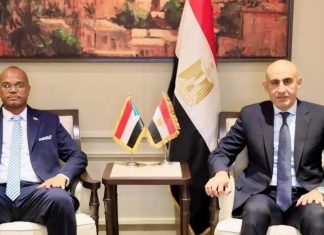 تحركات بين وزيري التعليم بشأن المدارس السودانية في مصر تحركات بين وزيري التعليم بشأن المدارس السودانية في مصر