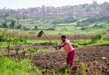 إفريقيا تعاني تداعيات اقتصادية من حرب الشرق الأوسط إفريقيا تعاني تداعيات اقتصادية من حرب الشرق الأوسط